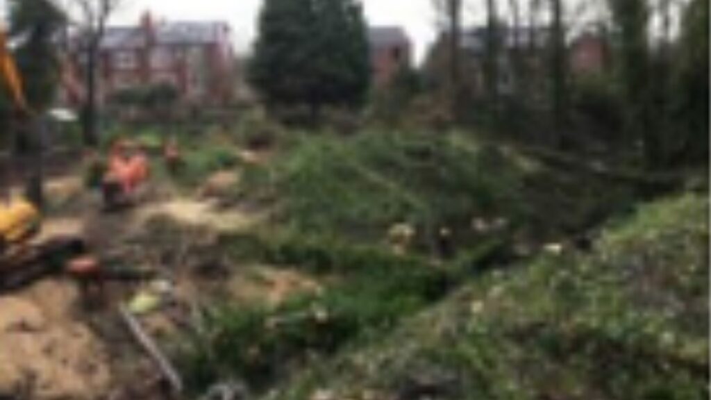 Untitled design (18)